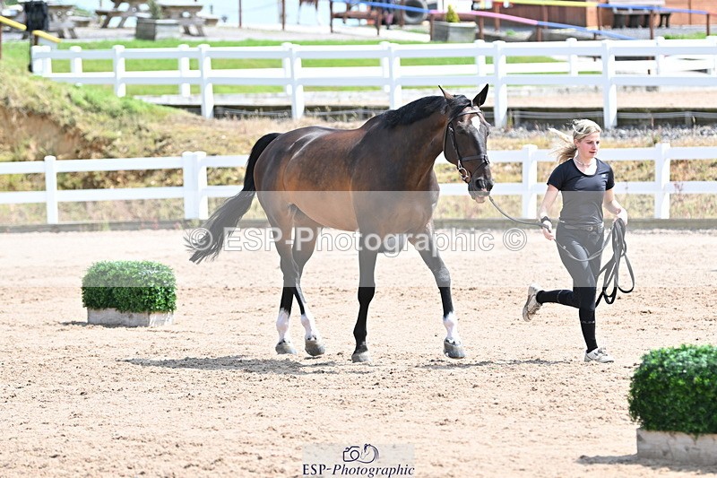 240717A-145236-02361 - Trot Up 2pm to 3pm - This folder is not in time order