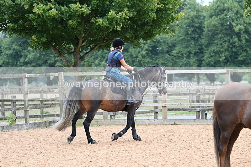 WJ7_7567 - Poles 10:00am