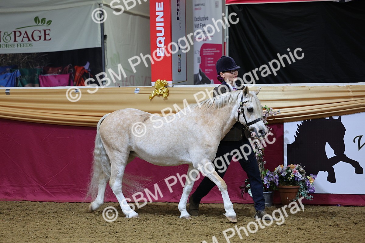 SBM_19343 - Class 901 - Supreme Final - IH Diamond