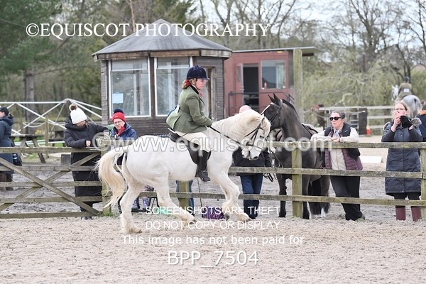 BPP_7504 - RING 1  (RIDDEN HORSES / IN HAND / VETERAN ETC)