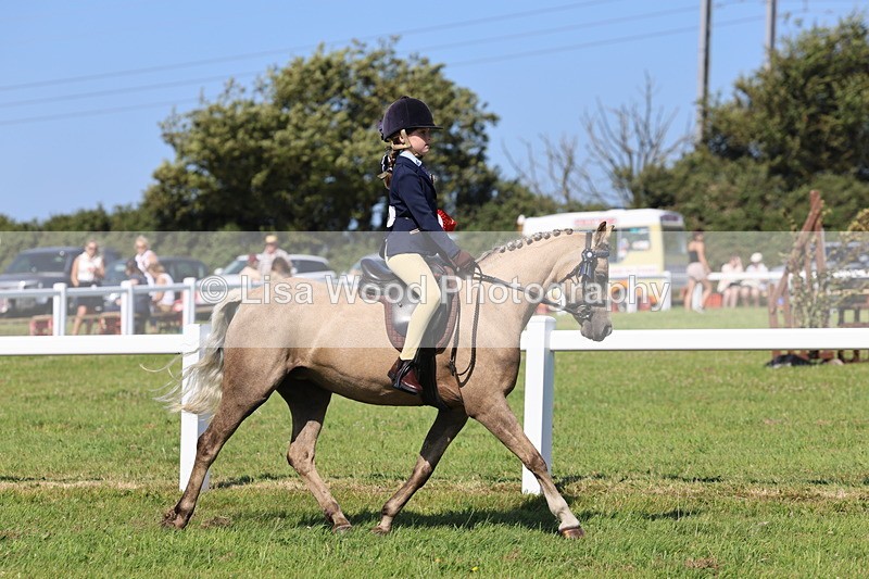 IMG_1834 - Plaited Mini Ridden Championship