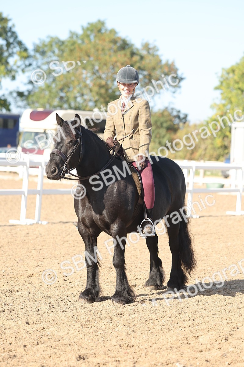 SBM_22213 - Class 802 - Ridden Groom Helpers Class