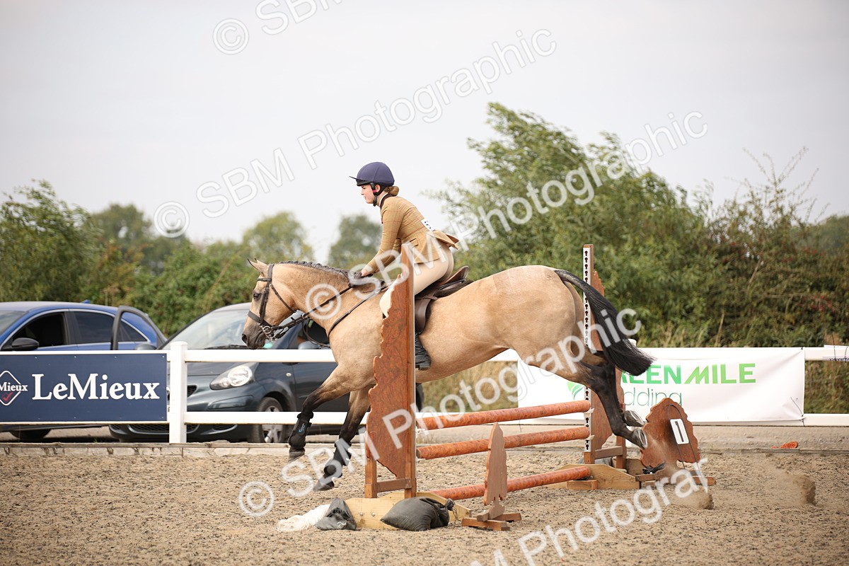 SBM_17147 - Class 409b - Working Veteran 80cm (20+)