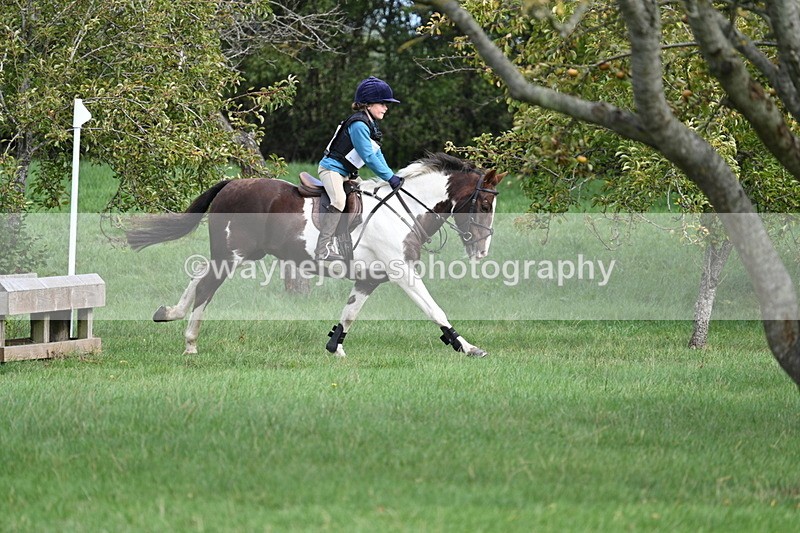 WJ7_8434 - 60cm Pairs