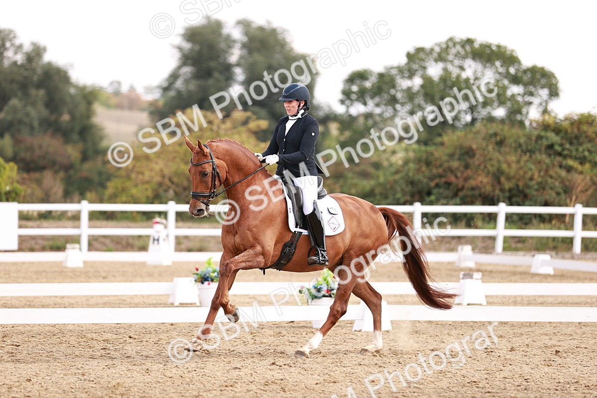 SBM_017686 - Class 11 - Advanced Medium 6