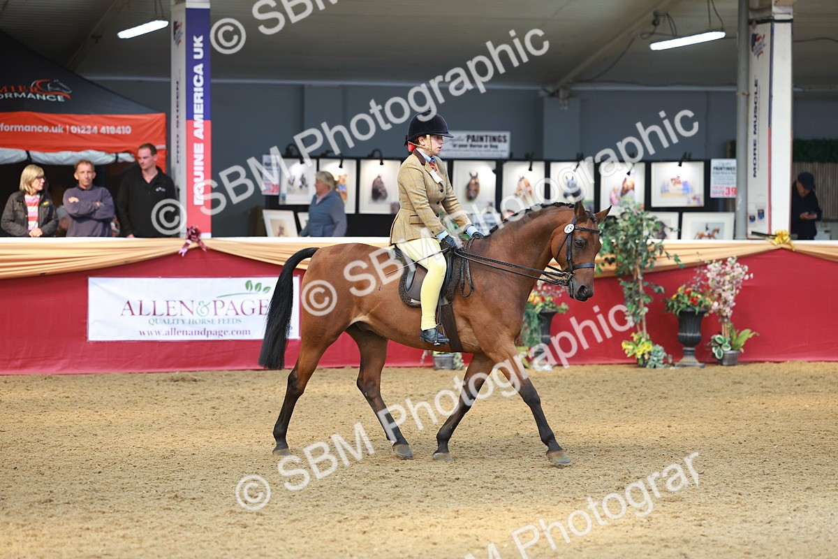 SBM_12585 - Class 103 - HOYS Veteran Qualifier - Ridden Pre Vet