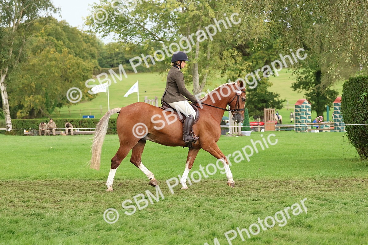 SBM_44972 - S27 - Young Veteran Ridden