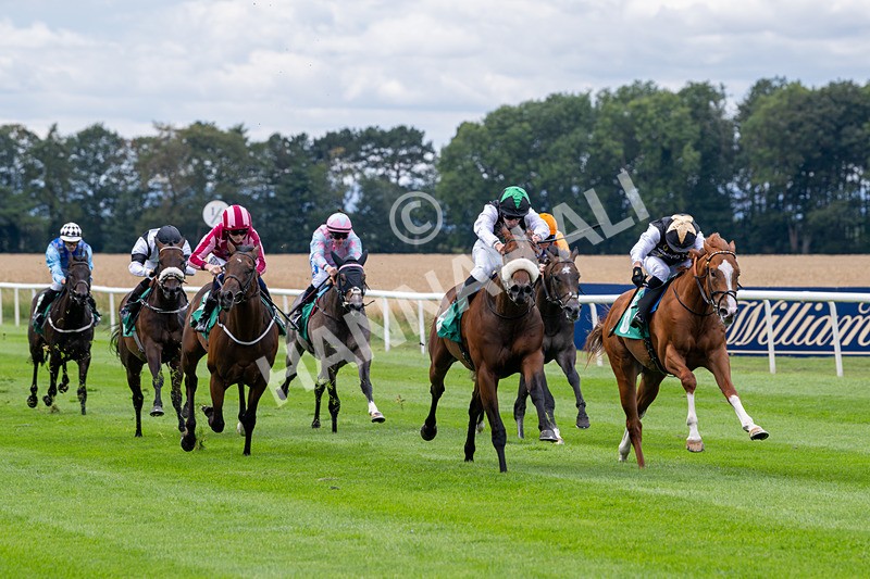 020825-Race 1-Rikki Tiki Tavi-2376 - Race 1