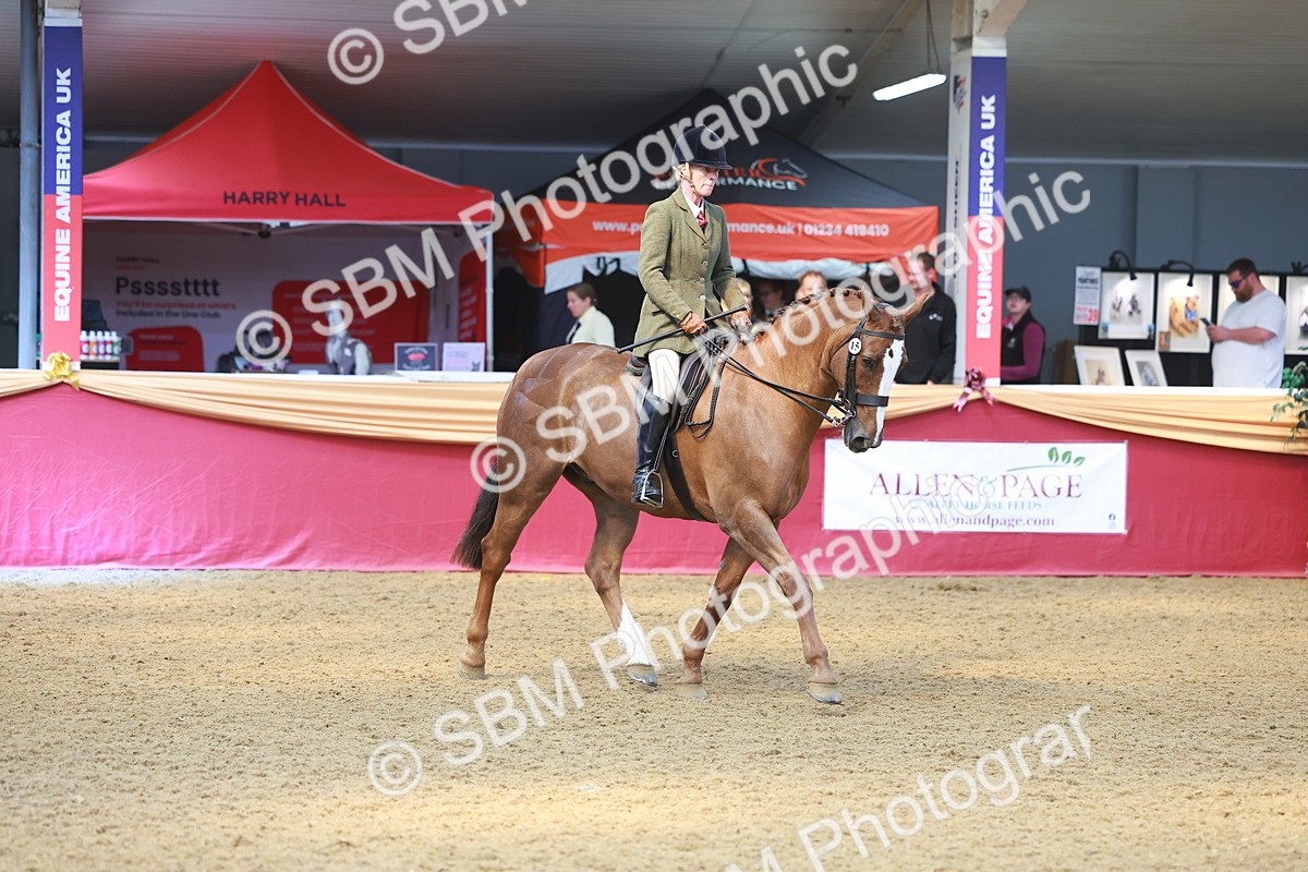 SBM_12568 - Class 103 - HOYS Veteran Qualifier - Ridden Pre Vet