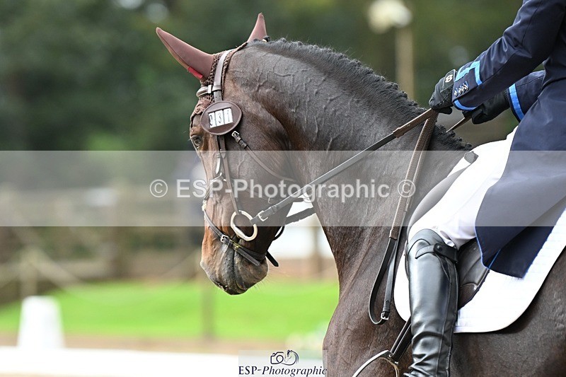 231019-103109-01591 - 031-ARIELLA-Morgan.Wyatt-DR