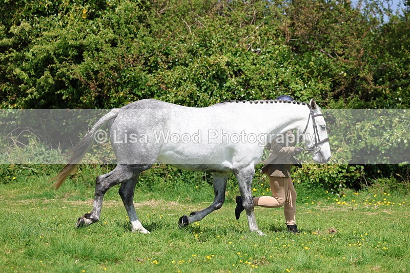 3E7A0453 - Class 20: Sports Horse