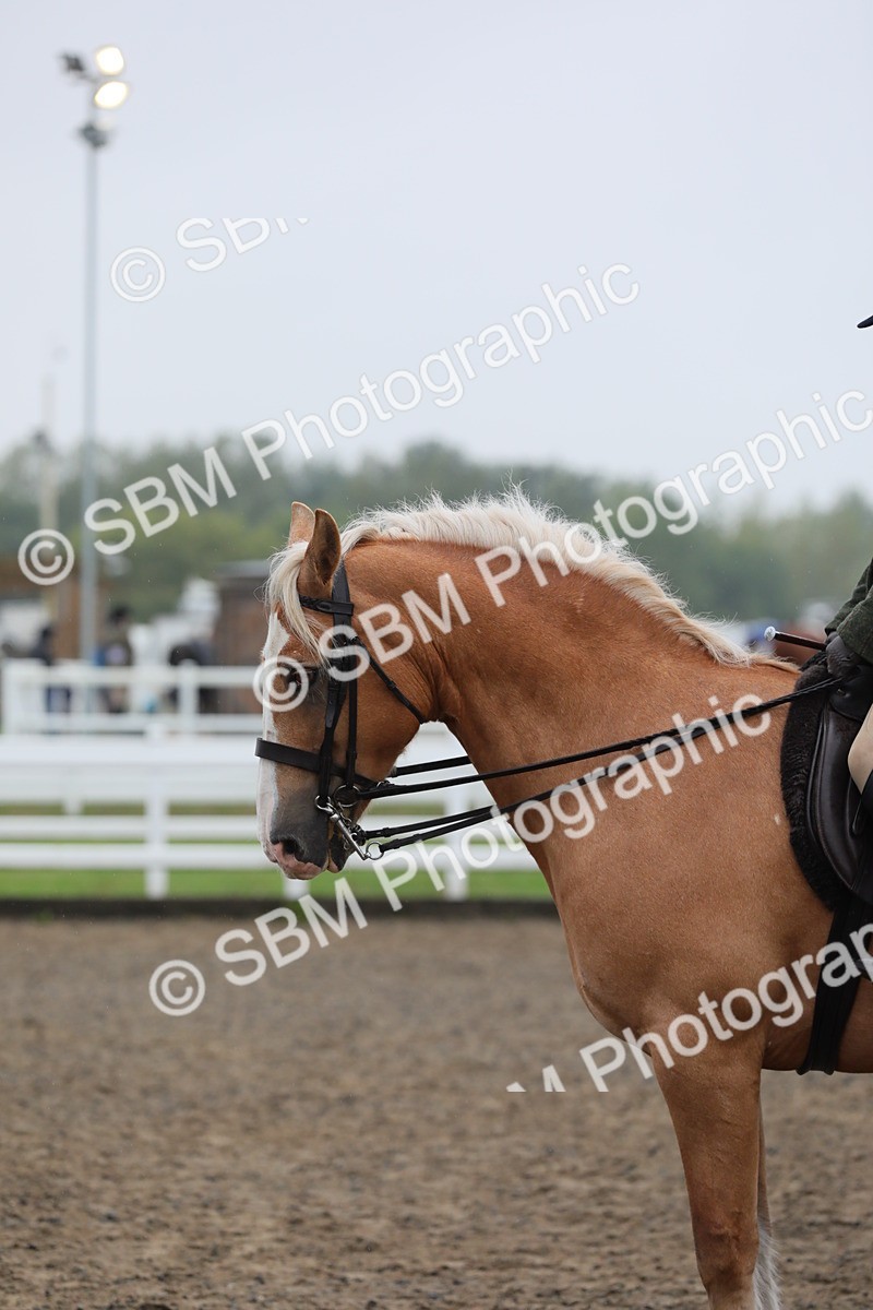 SBM_20334 - Class 803 - Ridden Combination 65+