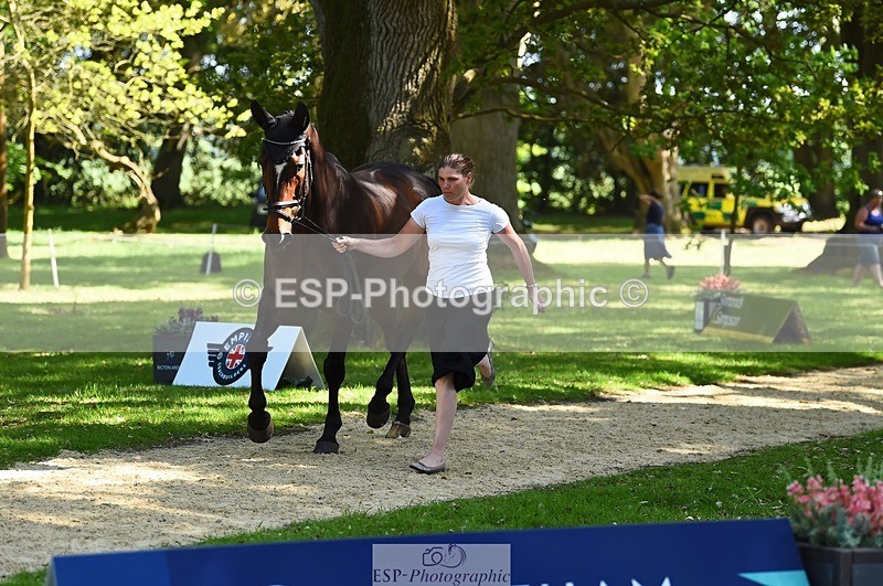 230524-153138-00330 - 353-THE_RIPPER-Bundy_Philpott-WEDTrotUp+DR