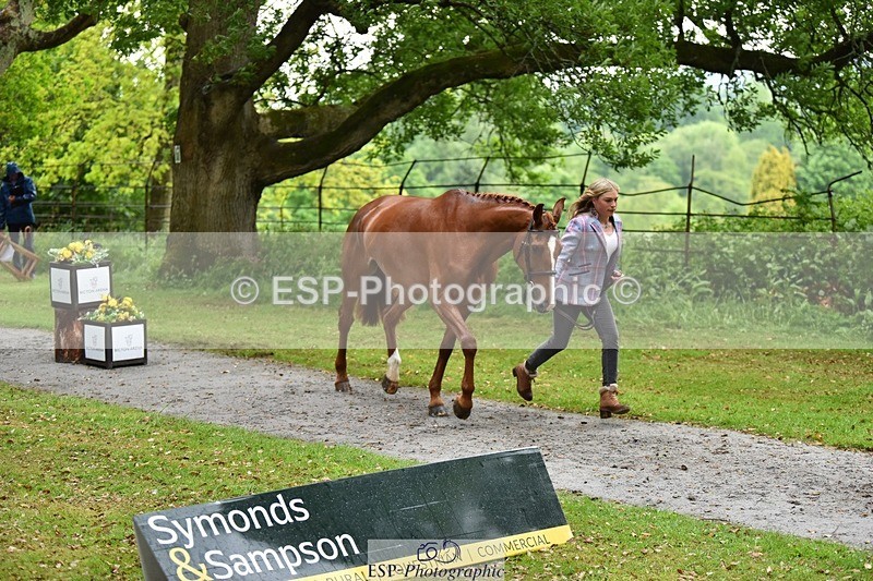 240522-161634-00830 - 166-MEXICAN_LAW-Isabelle_Cook