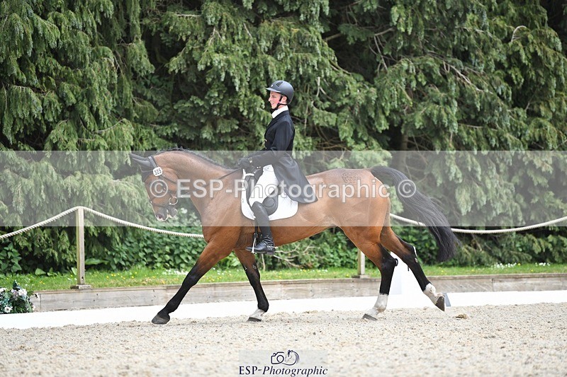 230525-151233-03208 - 325-LONESTAR-Thomas_Hawke-WEDTrotUp+DR