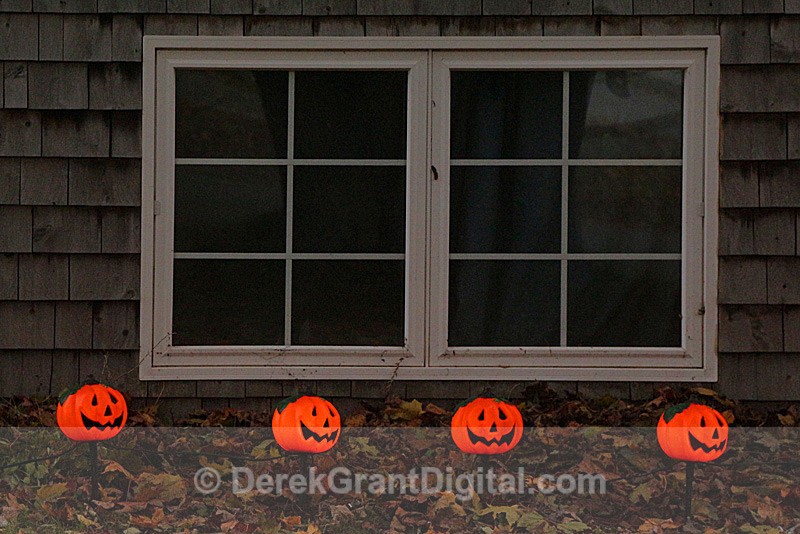 Pumpkin Lanterns Halloween Decorations - Autumn Festival