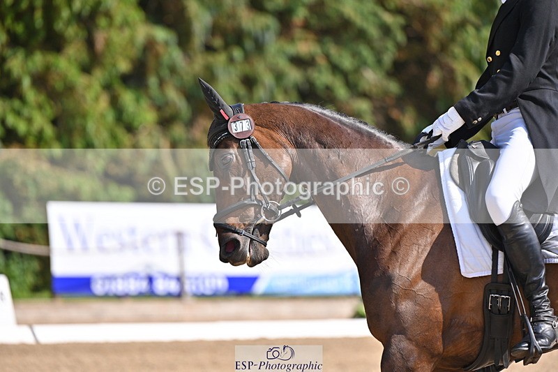 250523A-155951-07936 - B-373-Ben.Lee.Liles-FINCH.FANCY