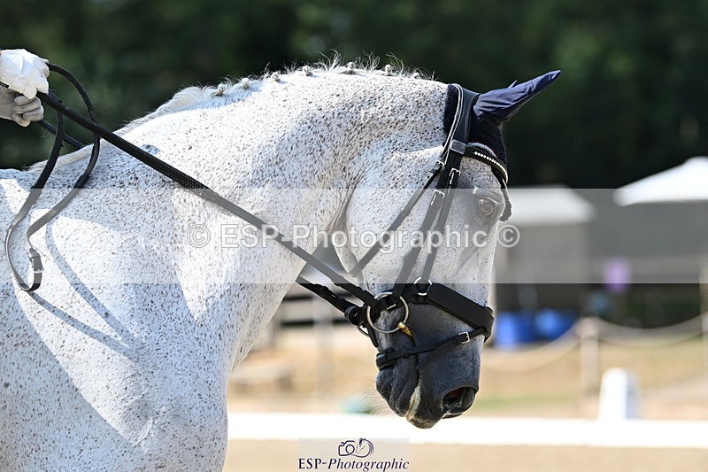 250810A-103811-05279 - 161-Elizabeth.AllenFreestyle.R