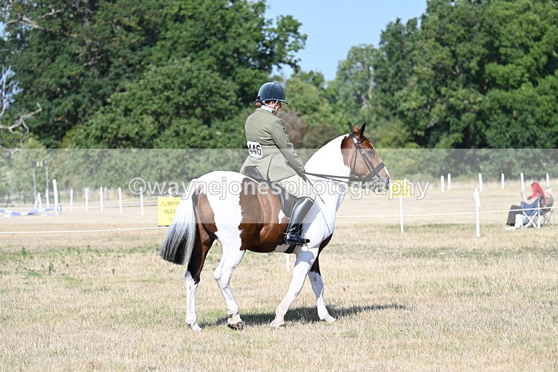 WJ7_2765 - Class 8 Ridden Tack & Turnout