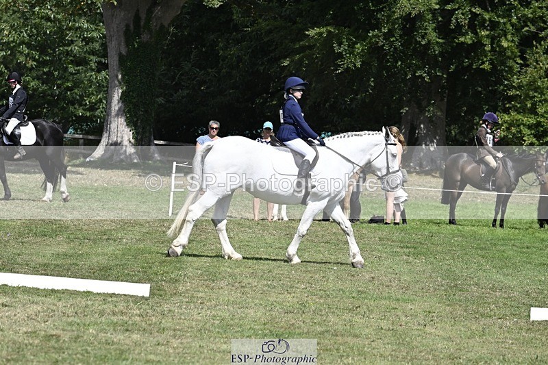 250822A-123116-21796 - DR 12.00 to End