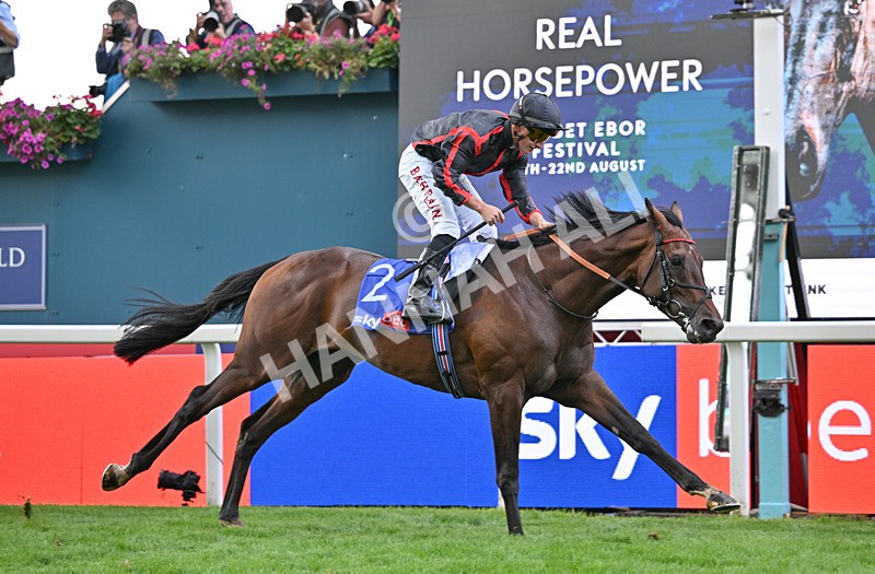 190826-088 Maltese Cross - Race 3 15.00pm Sky Bet Great Voltigeur Stakes