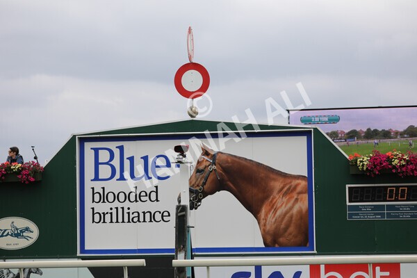 yr18082022r3-16 - Race 3 3.00pm Clipper Logistics Stakes