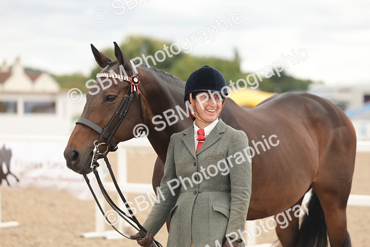 SBM_17115 - Class 313 - IH Retired Racehorse