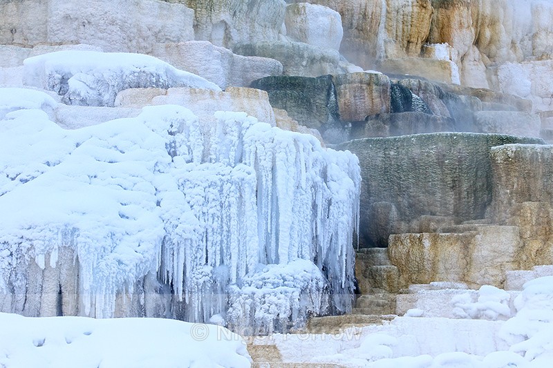 Icicles at Mammoth Hot Springs, Yellowstone National Park - Wyoming, USA