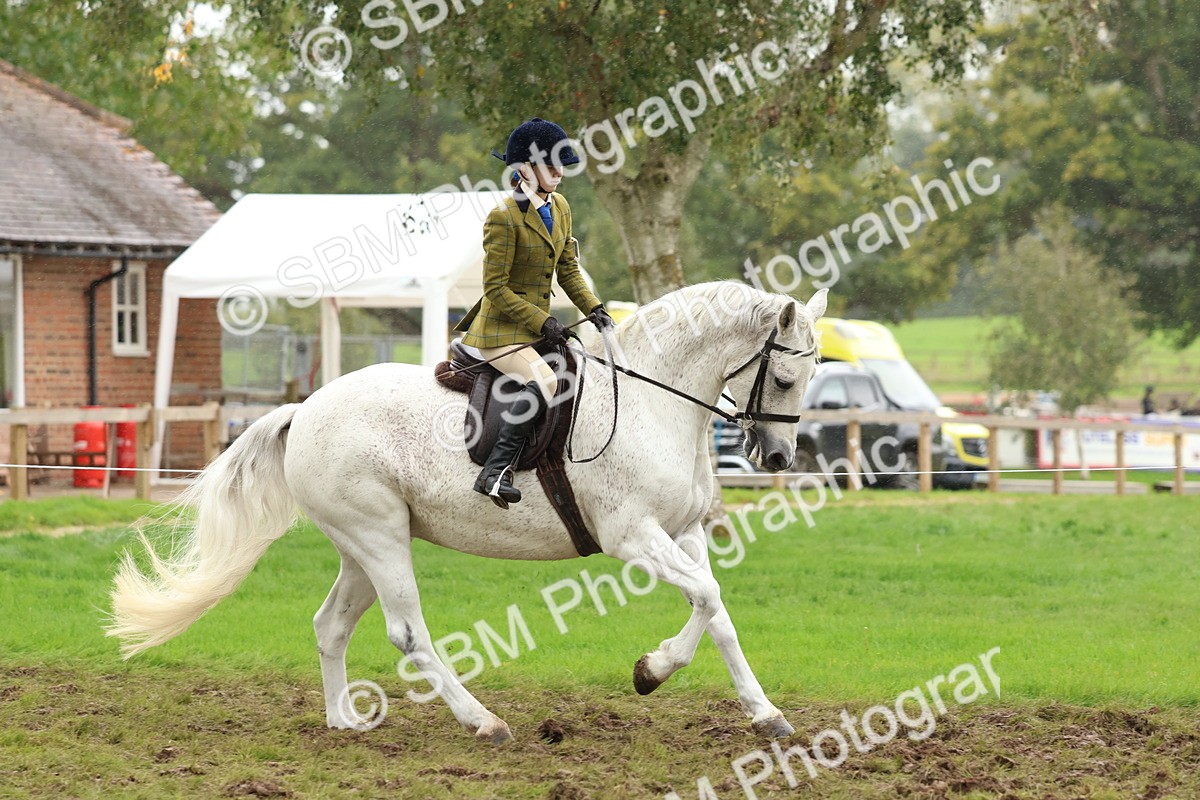 SBM_69601 - S62 - Mountain & Moorland Ridden Large Breeds