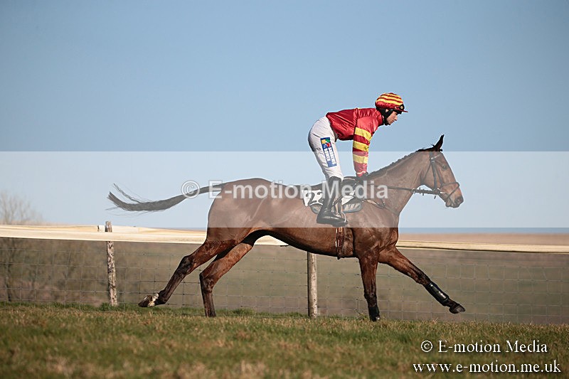 PtP 230219 489 - Vine & Craven Point-To-Point - Barbury 23/02/19
