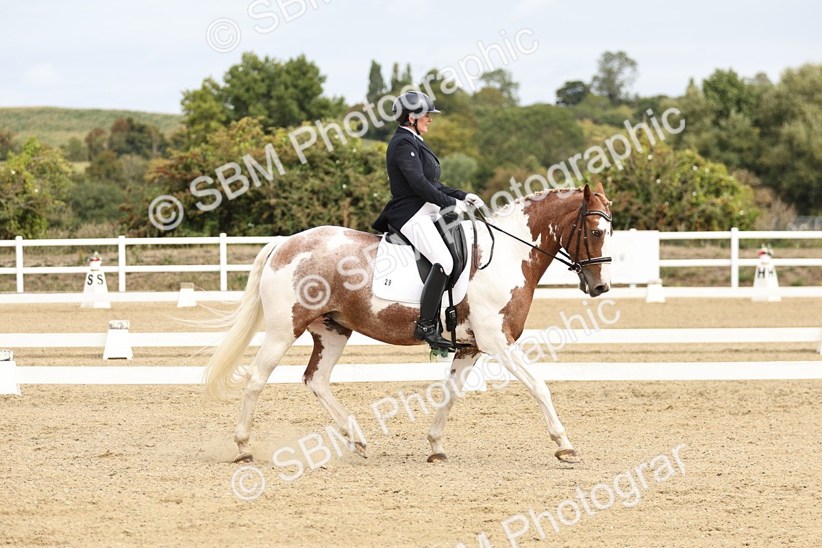 SBM_007332 - Class 25 - FEI PSG Bronze