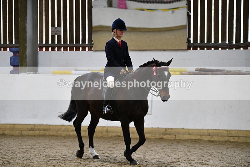 WJ5_7845 - Class 13 Ridden Part Breed