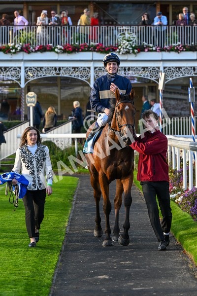 111025-Race 7-Lets Dream-0739 - Race 7 Coral 'Committed To Safer Gambling' Finale Handicap at York