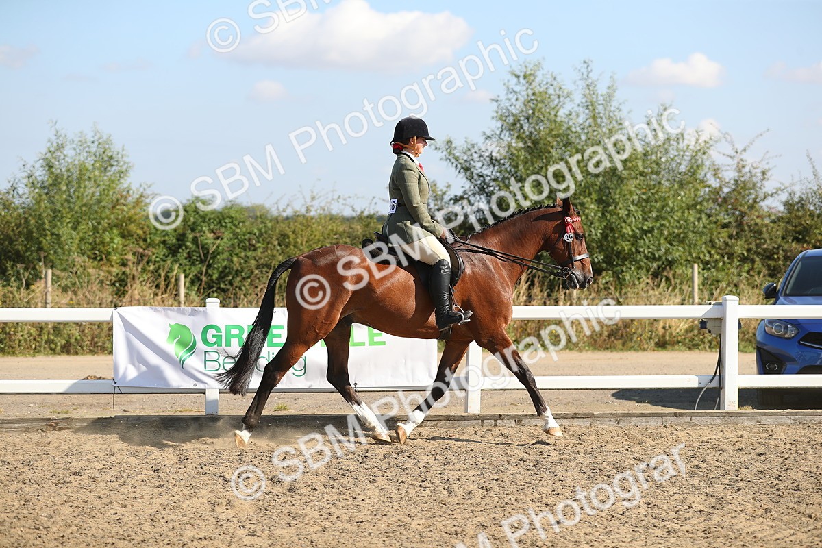SBM_02207 - Class 43 Ridden Competition Horse/Pony