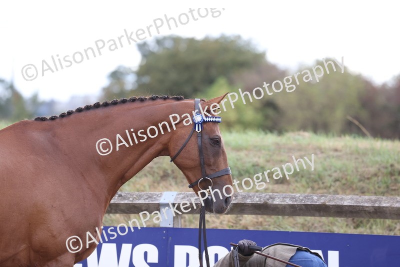 20260831-1949 - Class 5 - Retraining of Racehorses