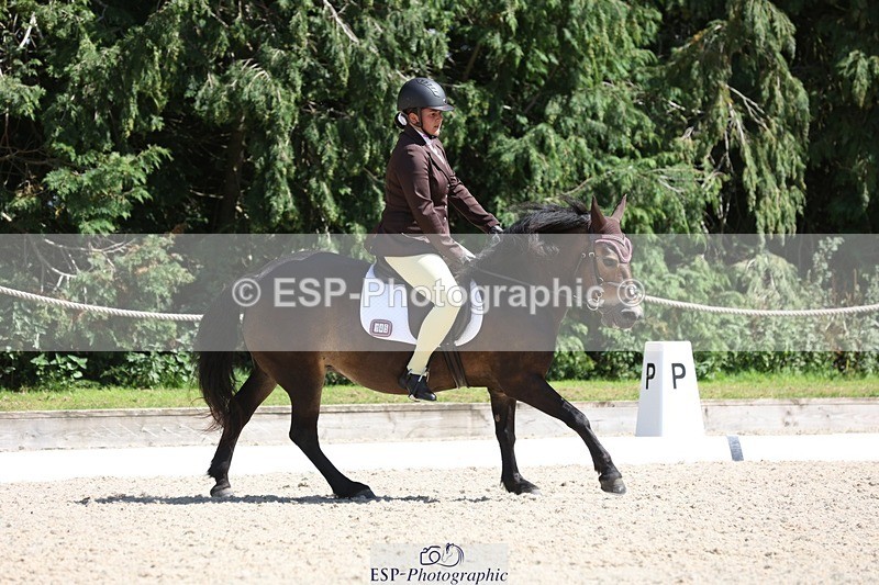 230811-144138-02075 - Cls 1 Prelim Bronze 13.30 to 14.50 break