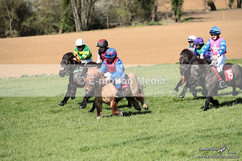 Shet 060426 286 - Shetland Pony Racing Paxford Races Easter Mon 06/04/26
