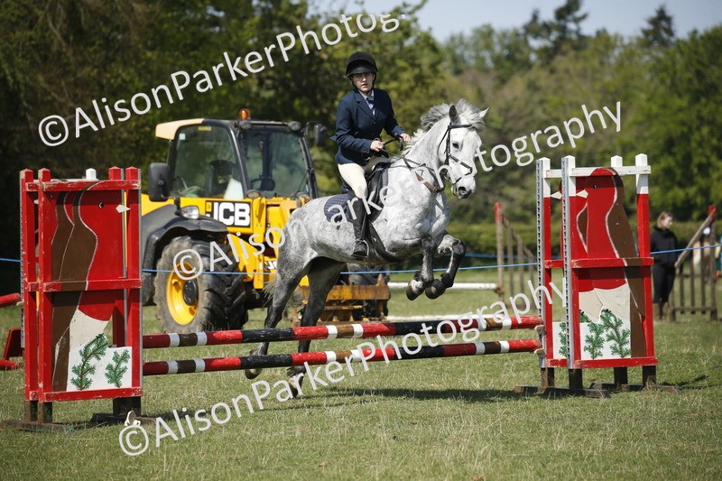 20250427-2245 - Class 13 - Novice Jumping 60cm