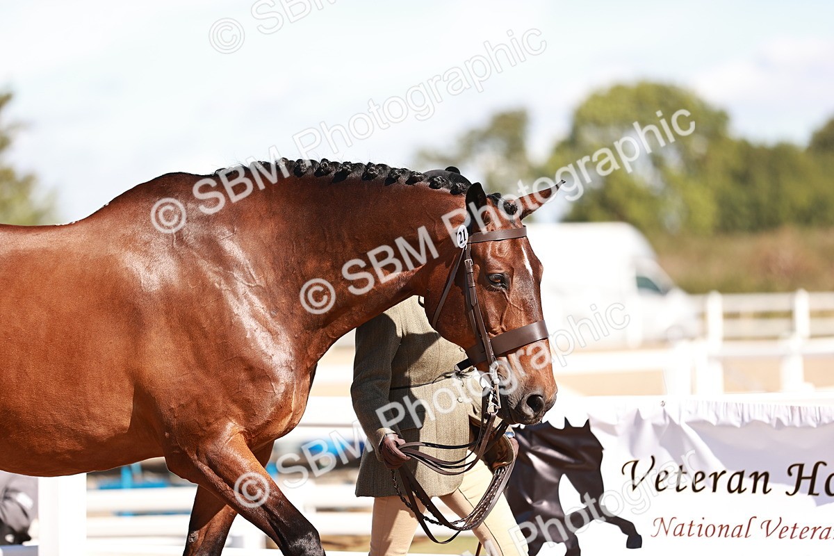 SBM_13269 - class 406 - IH Hunter