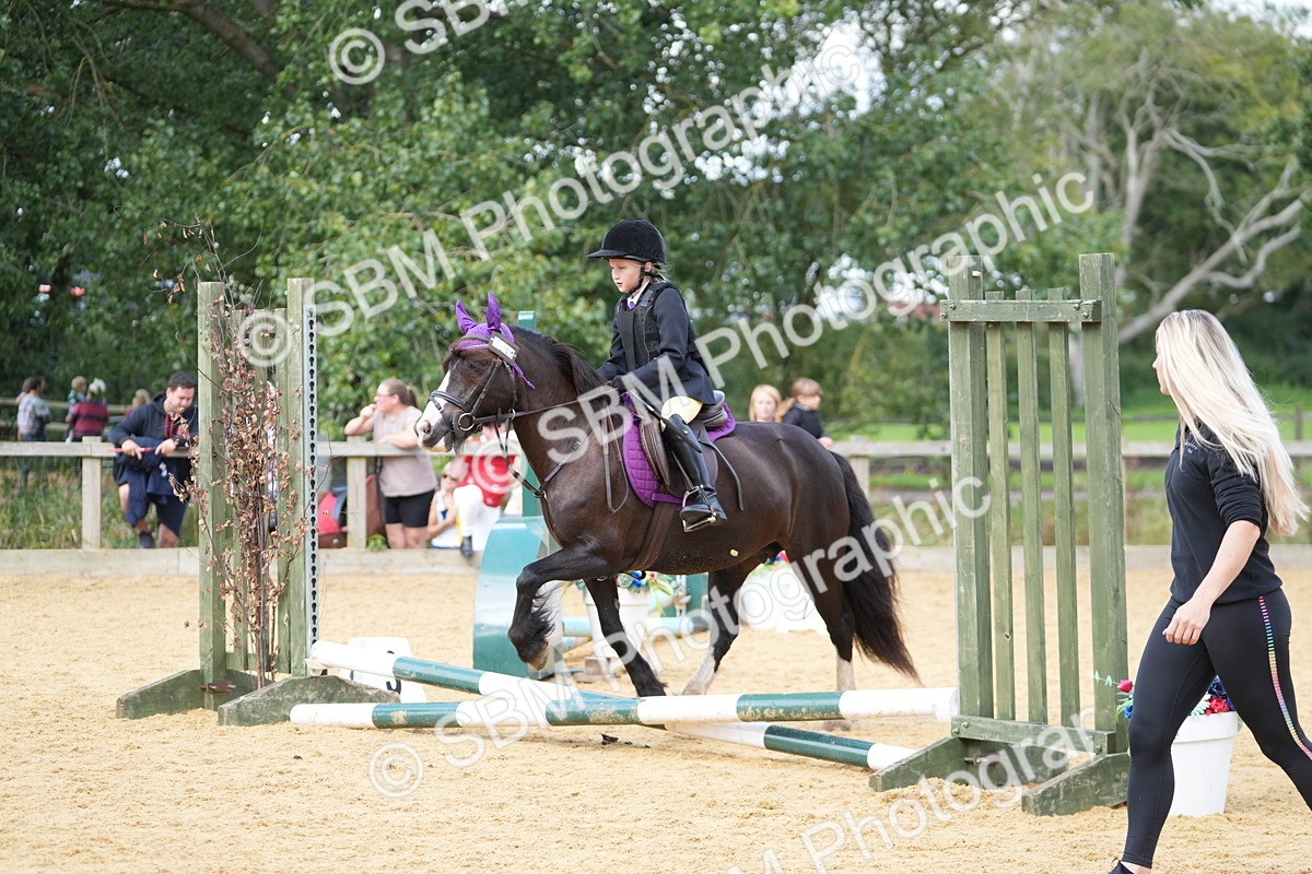 SBM_64482 - J2 - Mini Tour Junior Pony 30cm Championship