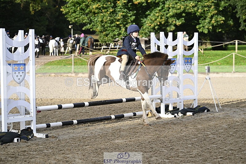 251005A-091533-03016 - Cls 02 GR 50cm