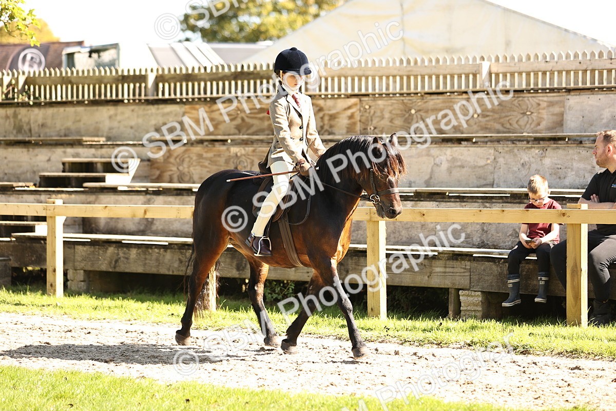 SBM_19249 - S3 - TSR Ridden Pony Showing