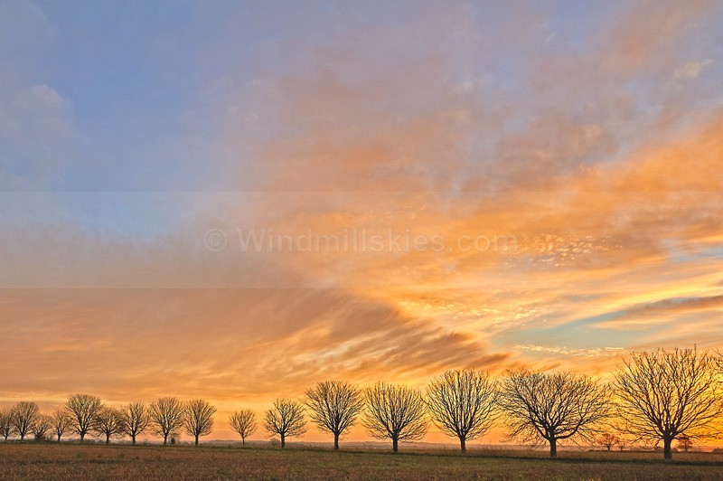  - Landscapes