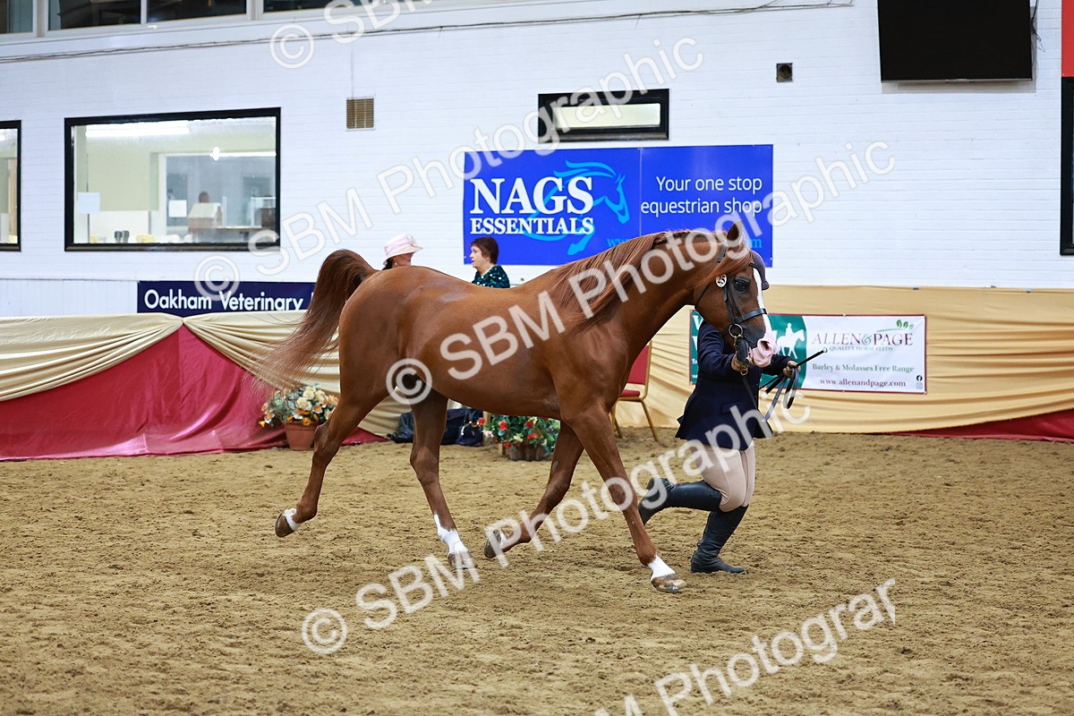 SBM_16231 - Class 901 - Sup Final - IH Diamond
