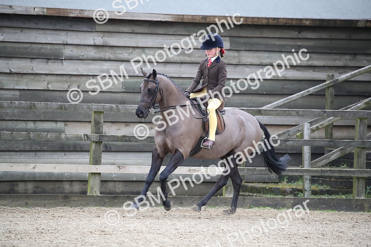 SBM_004667 - Class 5-9 - NPS In Hand-Show Hunter-Intermediate Ridden Inc Ridden Championship