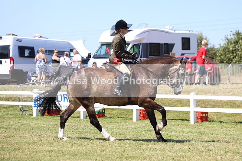 3E7A7513 - Rising Star Ridden Championship