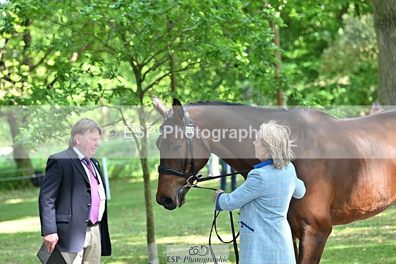 250521A-154310-00714 - B-358-Sammi.Birch-PARKFIELD.ARTIE.BLOU