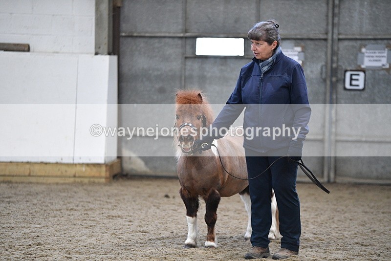 WJ5_5136 - Class 7 In hand coloured / odd coloured