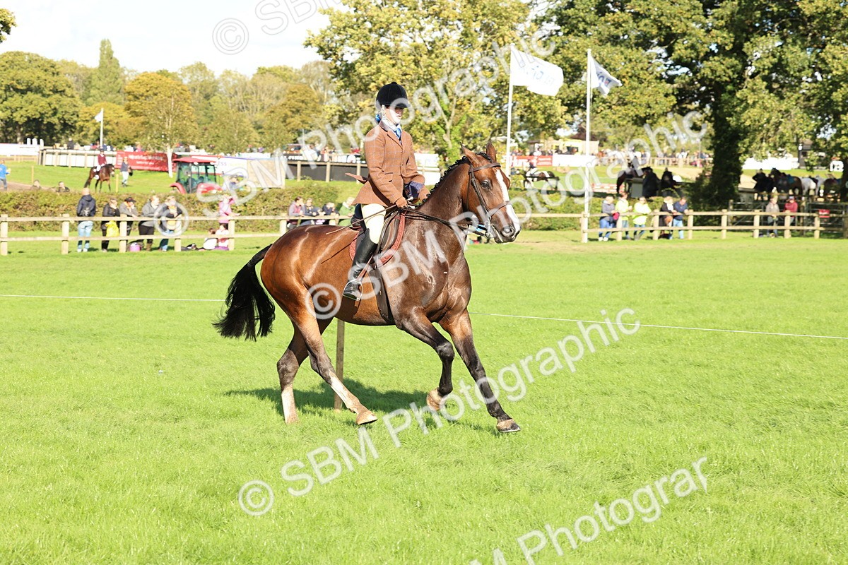 SBM_50117 - S34 - Novice & Newcomers Working Hunter