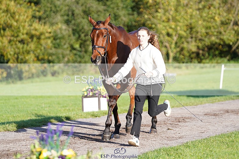 241026-101514-11716 - 011-Carla.Williamson-GOLDMAN